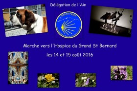 33-Grand St Bernard Août 2016-001